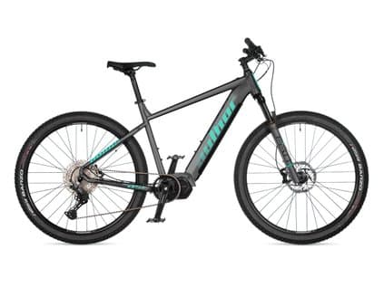 Dámsky horský elektrobike Author Elevation 29 Asl Strieborná/Zelená 2026