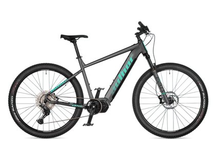 Dámsky horský elektrobike Author Elevation 29 Asl Strieborná/Zelená 2026